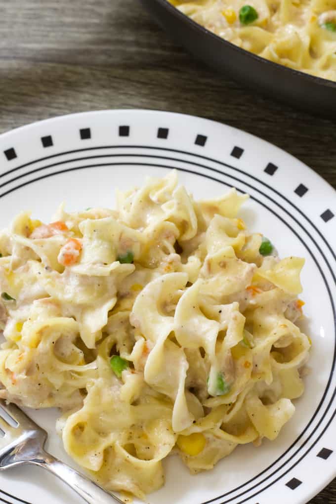 Overhead shot of homemade tuna noodles on a white and black plate.