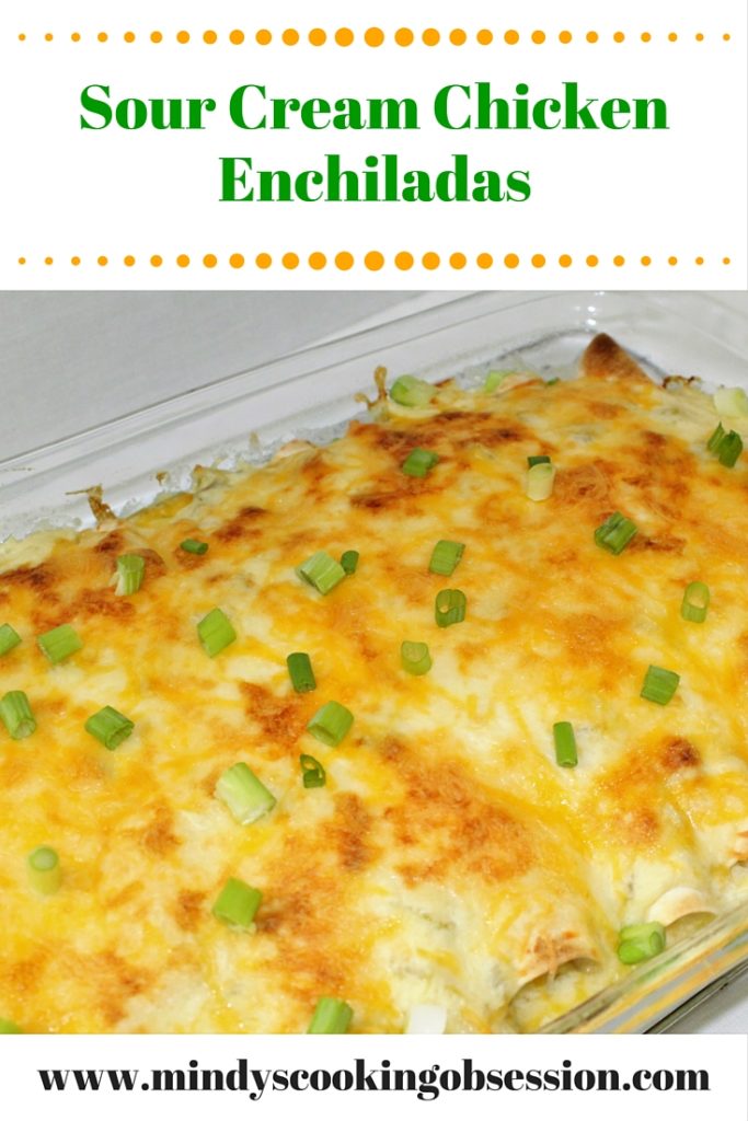 Are you looking for a sour cream chicken enchilada recipe that is kid and family friendly? This recipe is easy and tasty, yet not too hot for the kids. 