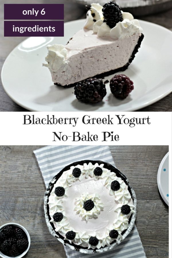 Blackberry Yogurt No Bake Pie - Mindy's Cooking Obsession