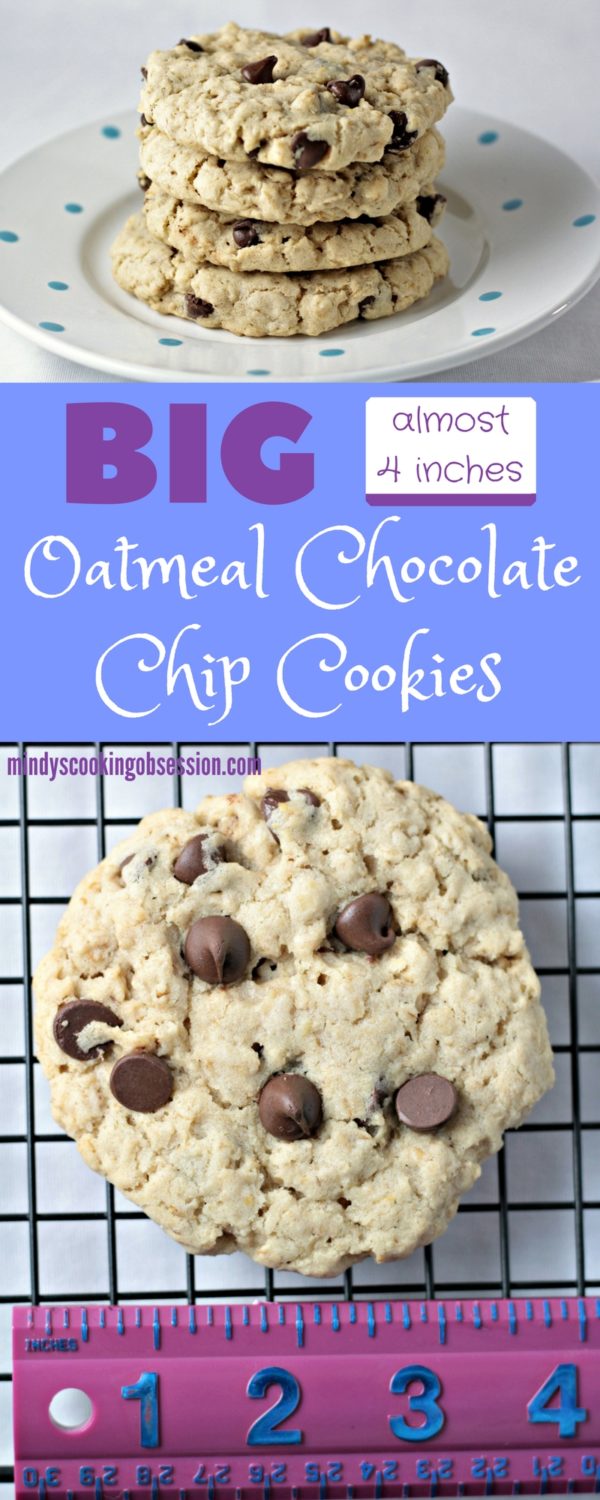 BIG Oatmeal Chocolate Chip Cookies - Mindy's Cooking Obsession
