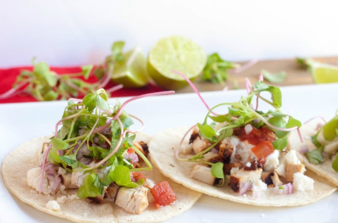 35 Amazing Grilled Chicken Recipes has grilled chicken in the form of kabobs, salads, sandwiches, wings, thighs, breasts, and even a mashed potato bowl.
