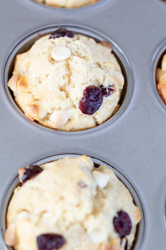 White Chocolate Chip Craisin Muffins are a traditional vanilla muffin with the grown up taste of sweet craisins and white chocolate chips. 