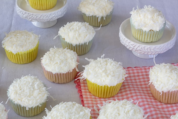 Coconut Olive Oil Cupcakes are moist and dense. We have replaced the vegetable oil with olive oil and the water with coconut milk for a tasty treat. .