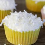 Coconut Olive Oil Cupcakes are moist and dense. We have replaced the vegetable oil with olive oil and the water with coconut milk for a tasty treat. .