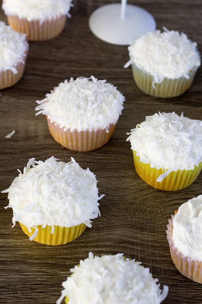 Coconut Olive Oil Cupcakes are moist and dense. We have replaced the vegetable oil with olive oil and the water with coconut milk for a tasty treat. .