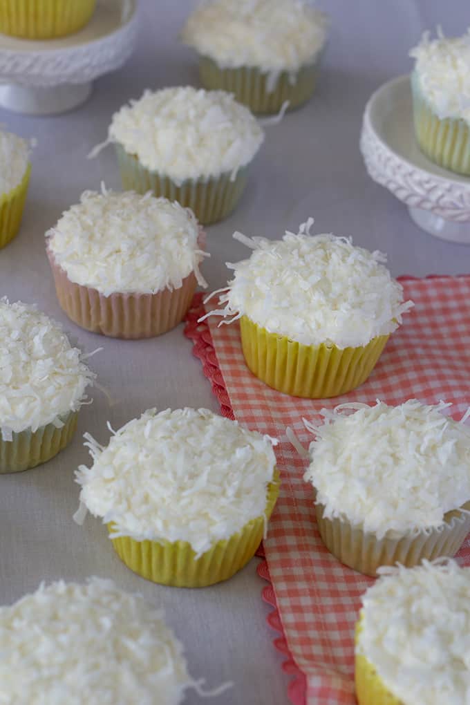 Coconut Olive Oil Cupcakes are moist and dense. We have replaced the vegetable oil with olive oil and the water with coconut milk for a tasty treat. .