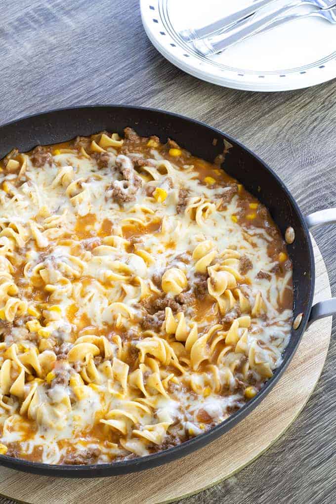 Cheesy Beef Taco Noodles - ground beef, onion, cheese soup, salsa, corn and Light 'n Fluffy Noodles. Easy to make and on the table in about 25 minutes!