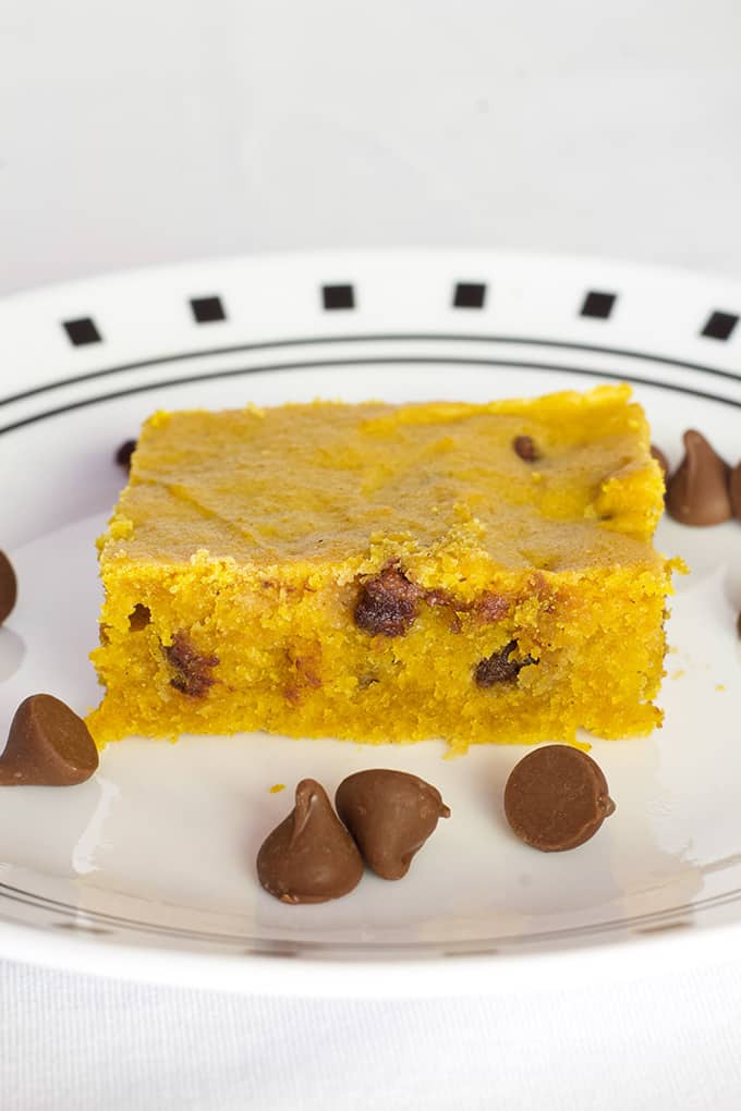 Homemade Chocolate Chip Pumpkin Bars are deliciously moist and so easy to make using common pantry ingredients. Made in a 9" X 13" pan. 