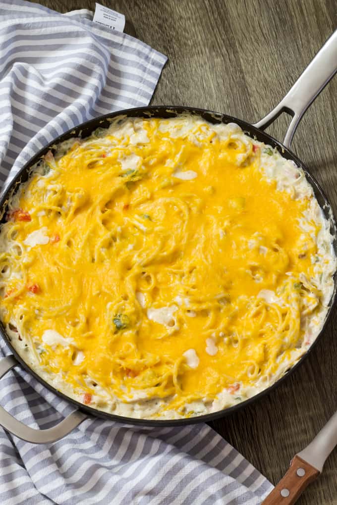 Skinny Baked Chicken Spaghetti - tender chicken and spaghetti in a cream cheese sauce is baked in the oven and topped with cheddar cheese.