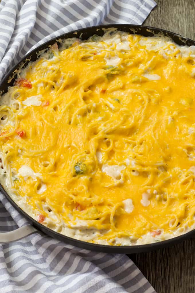 Skinny Baked Chicken Spaghetti - tender chicken and spaghetti in a cream cheese sauce is baked in the oven and topped with cheddar cheese.