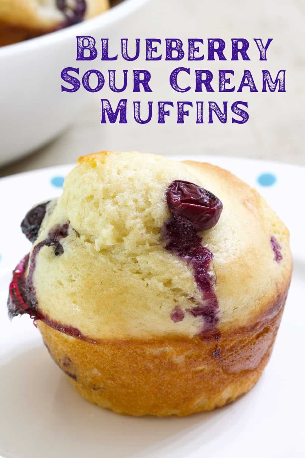 One blueberry muffin on a small white plate with blue dots.