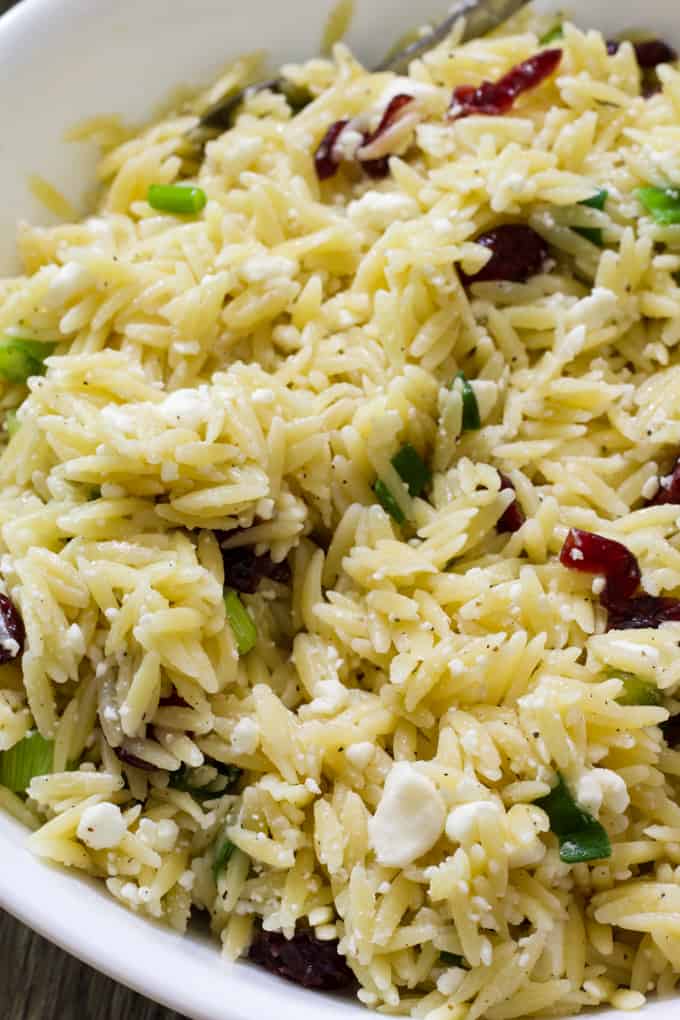 A close up shot of a shallow white bowl with orzo salad with feta and dried cranberries.