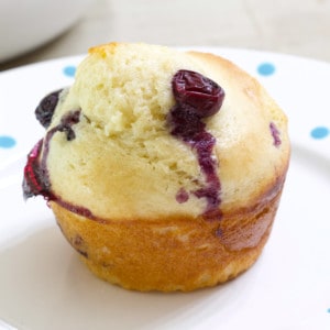 One blueberry muffin on a small white plate.