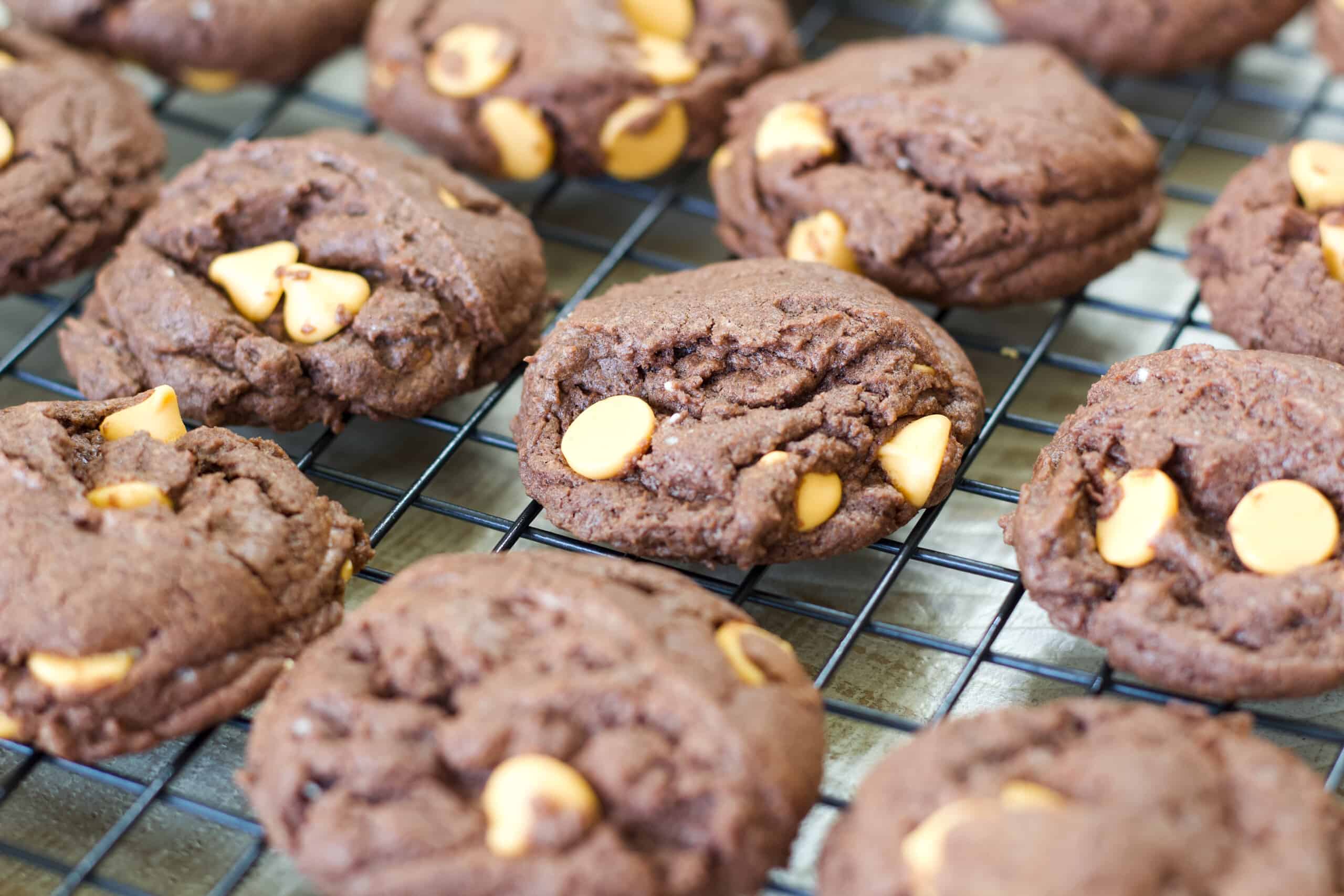 One cookie in focus surrounded by cookies out of focus.