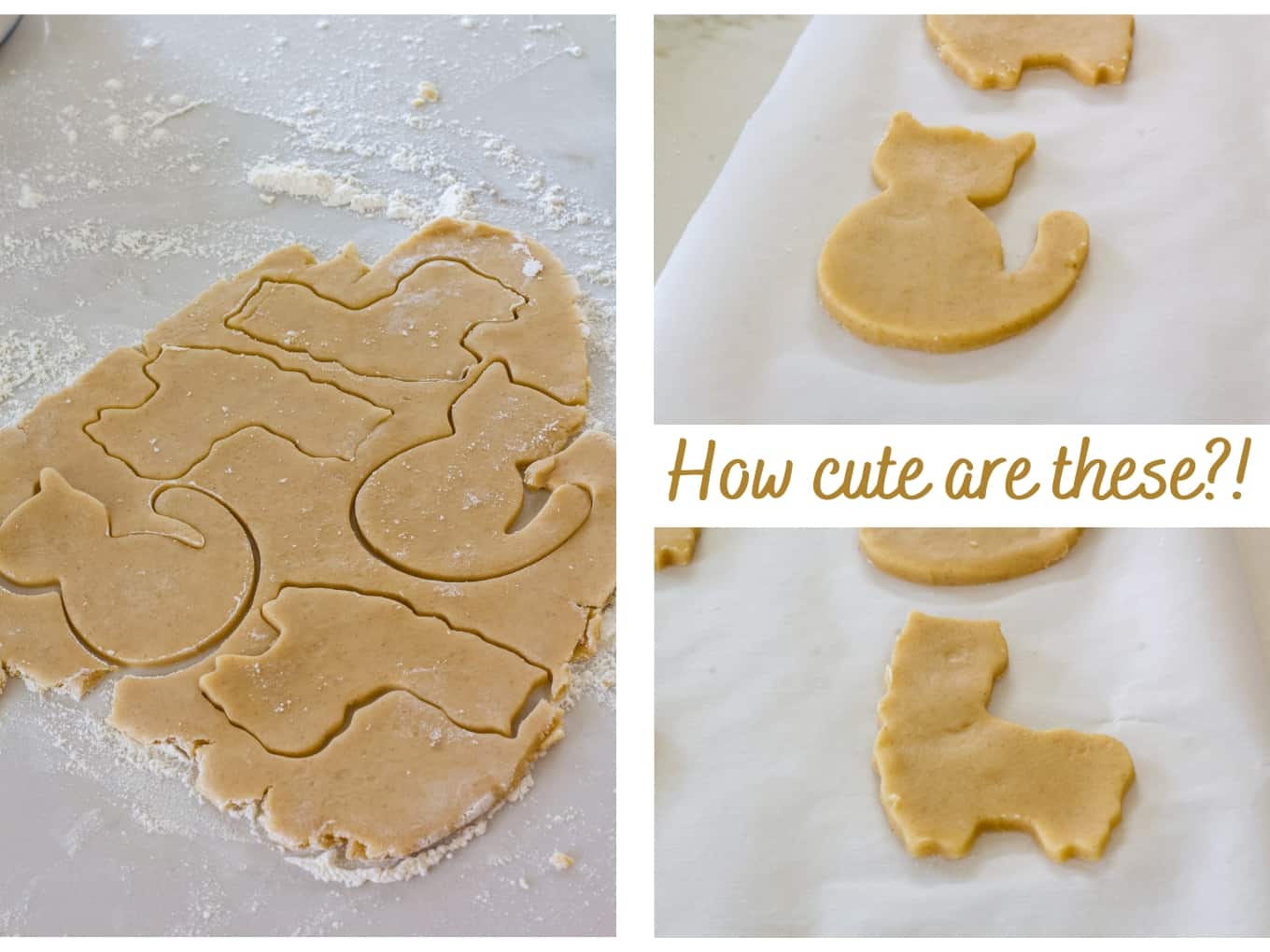 A collage of three images showing the cookie dough being cut out into the cat and llama shapes.