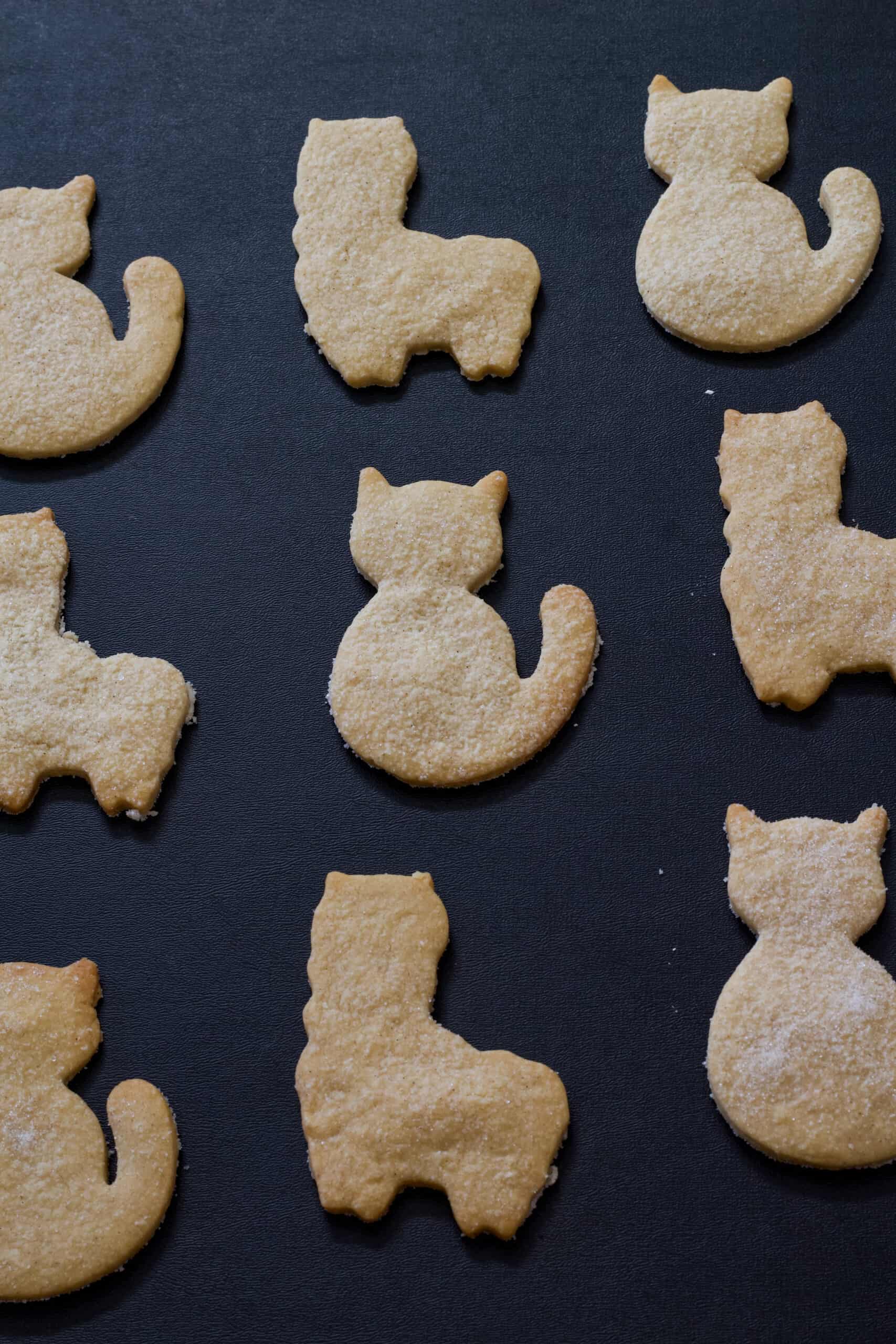 Several baked Mexican Cinnamon Sugar Cookies llama and cat cookies on a black background.