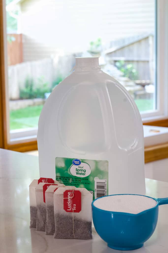 One gallon of spring water, four Luzianne family size tea bags and a blue measuring cup full of sugar sitting on the counter.
