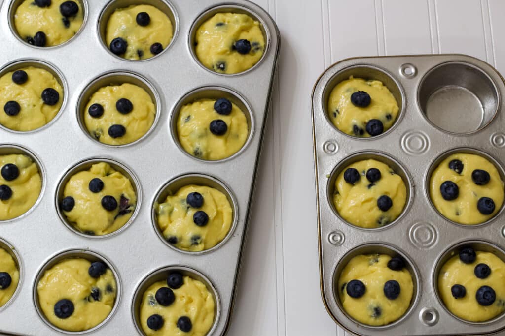 The muffin tins filled with muffin batter, they are topped with fresh blueberries.
