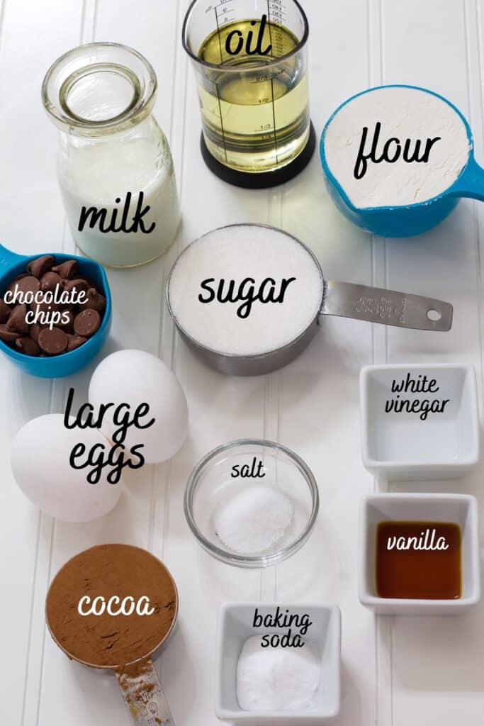 All of the ingredients needed to make The Best Mini Chocolate Cupcakes Recipe in individual bowls and labeled with what they are.