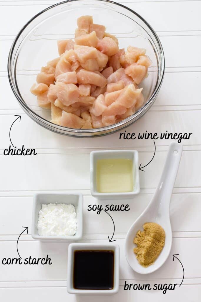 The cut up chicken and the ingredients needed to make the marinade for this recipe.