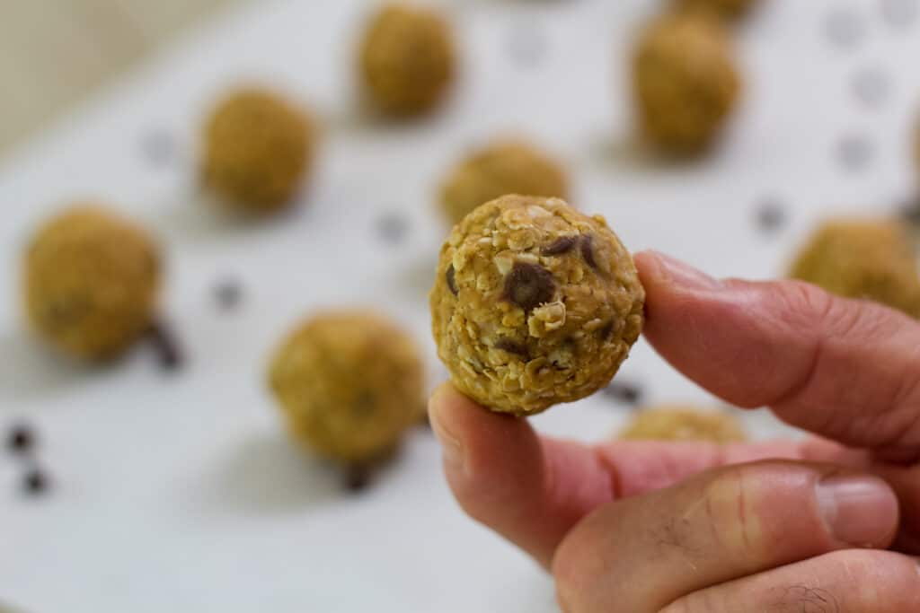 A hand holding one 4 Ingredient Protein Rich Peanut Butter Energy Ball.