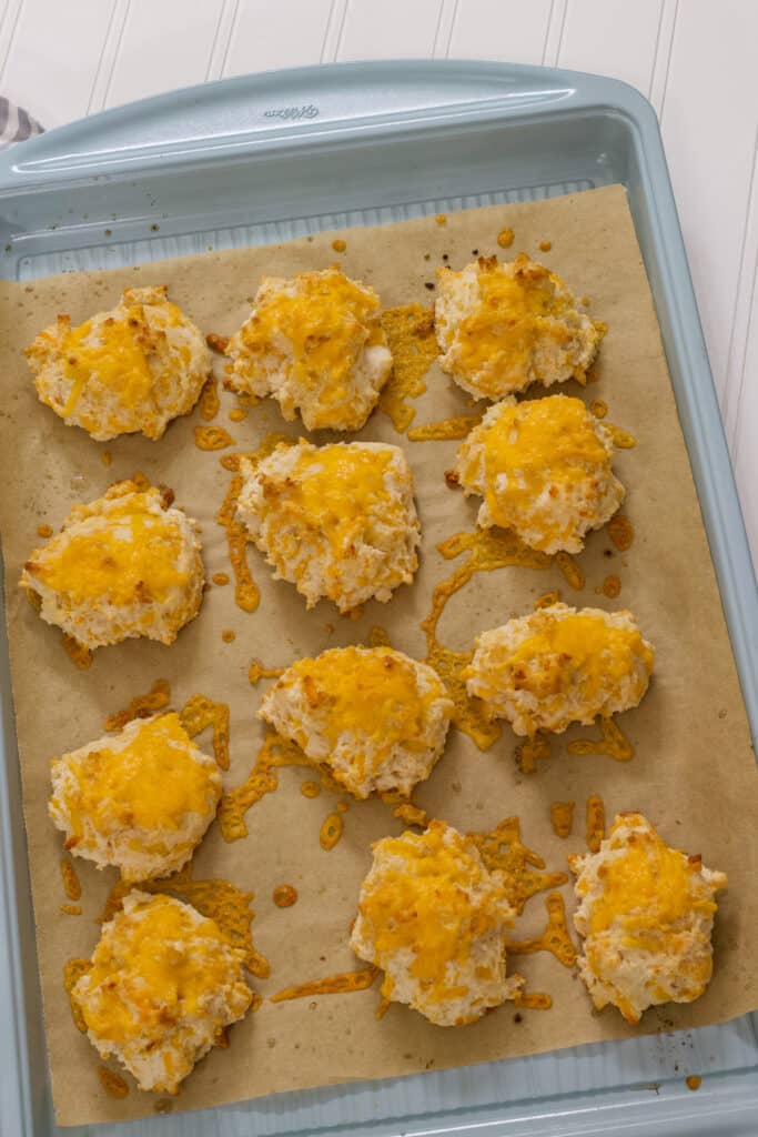 The Easy Garlic & Cheddar Cheese Drop Biscuits on a rimmed baking sheet after they have been baked.