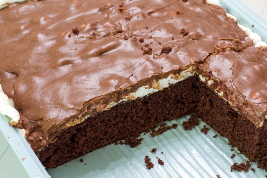 The cut cake in the cake pan so the cake and layers are visible.