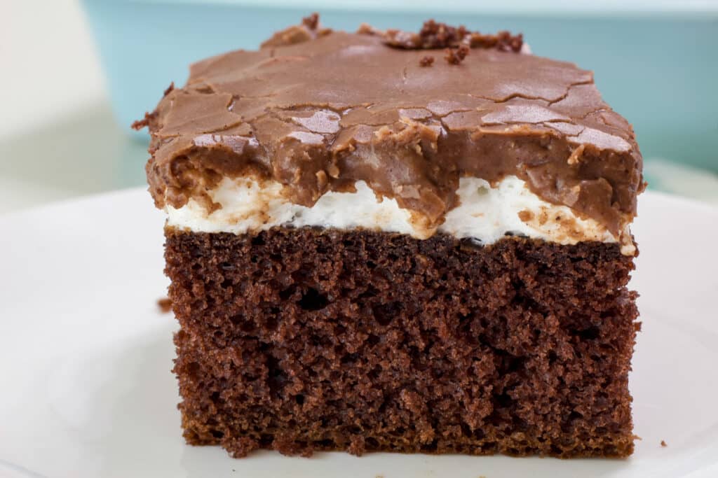 One piece of cake on a white plate, the layers are visible as well as the inside of the chocolate cake.