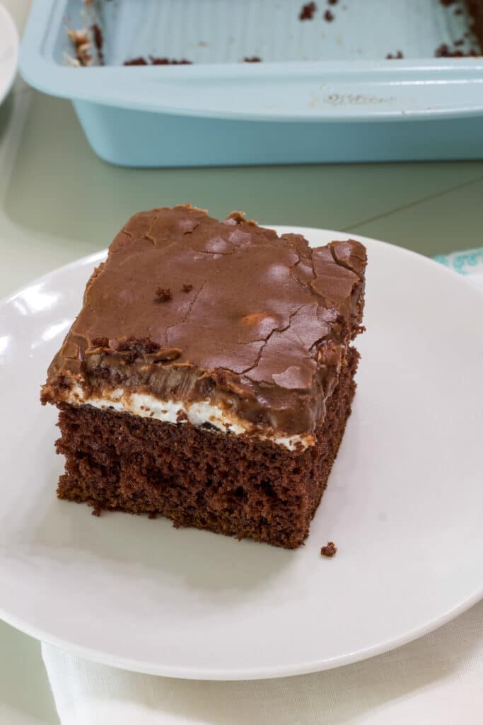 One piece of Easy Mississippi Mud Cake is on a white plate, the cake pan is in the background.