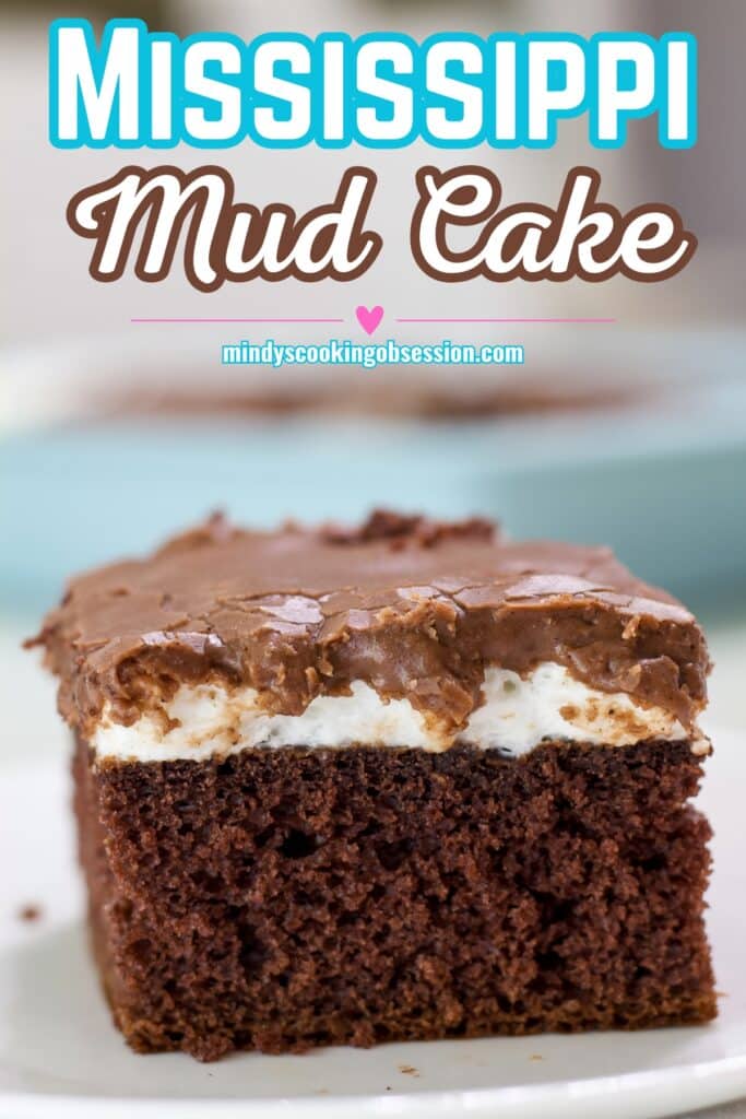 Close up side view on one piece of Easy Mississippi Mud Cake, the recipe title is in text at the top.