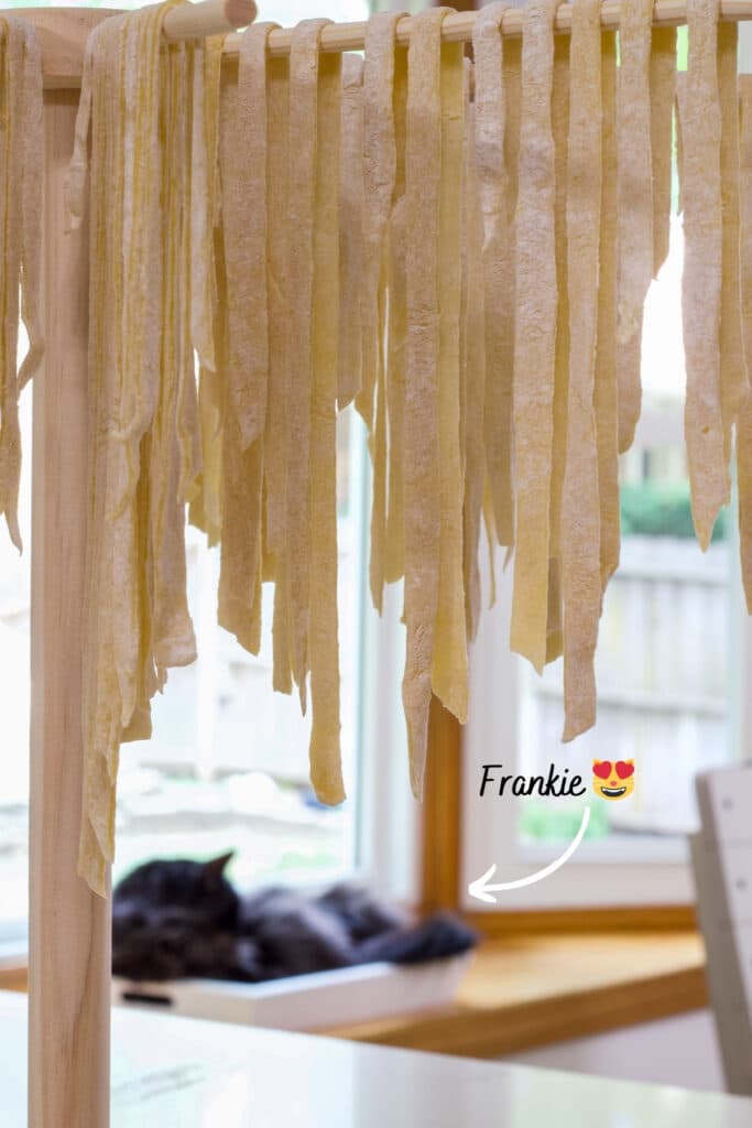 The noodles hanging on a wooden pasta drying rack, my black cat is visible in the background.