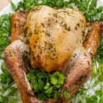 Feature image of the roasted turkey ready to be served.