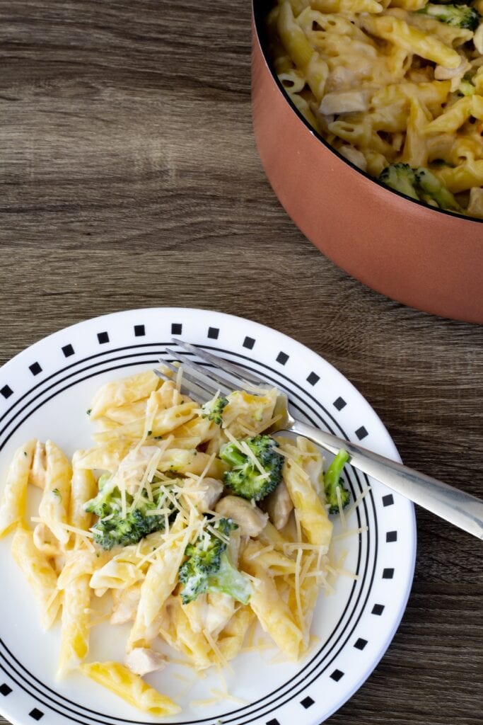 A serving of pasta topped with parmesan cheese in the foreground and the pot with the remaining pasta in the background.