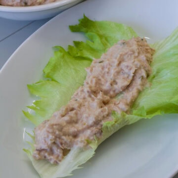 Feature image of a lettuce wrap filled with low carb tuna salad.