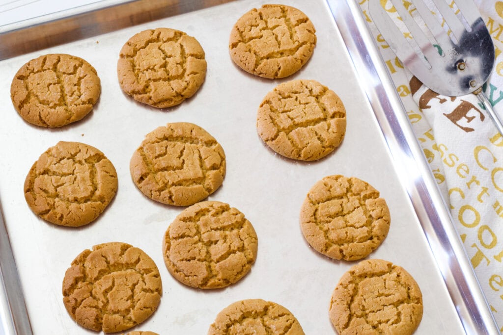 The baked Old-Fashioned Chewy Peanut Butter Cookies on a shiny aluminum cookie sheet.