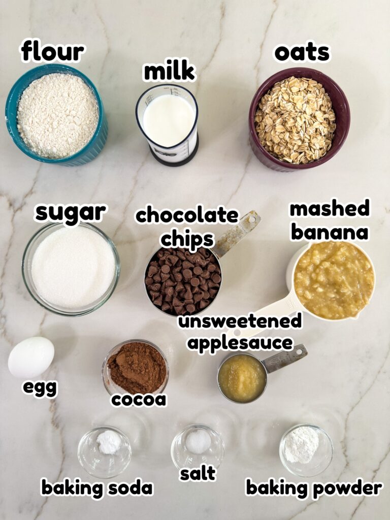 All of the ingredients measured out to make the Chocolate Chocolate Chip Banana Oatmeal Muffins recipe.