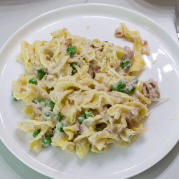 Feature image of one serving of the finished dish on a white plate.