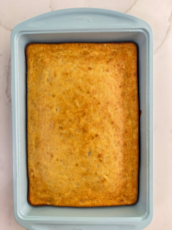 The baked cake in the pan before being frosted.
