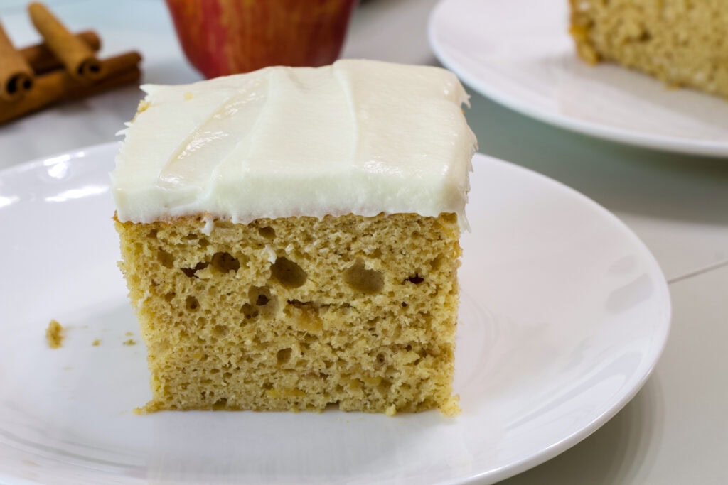 Close up side view of one piece of Apple Cider Cake.