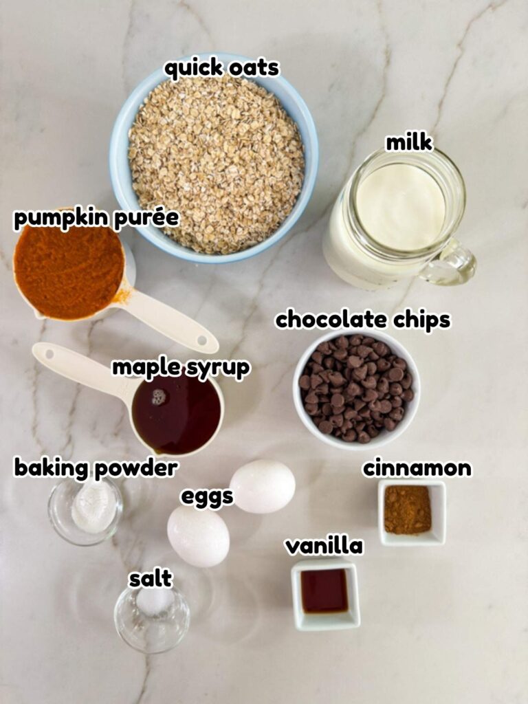 All of the ingredients measured out and ready to make the Pumpkin Chocolate Chip Baked Oatmeal recipe.