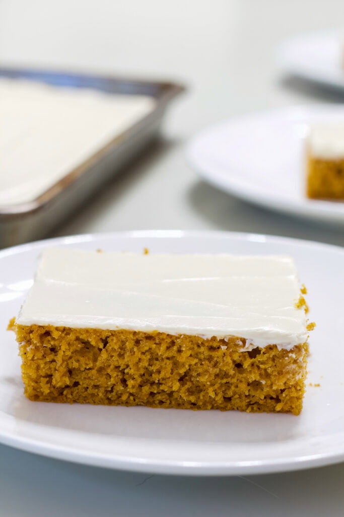 Close up of the side of one piece of Healthy Pumpkin Cake.