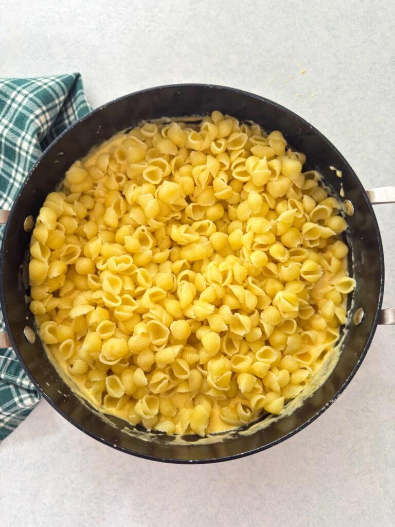 The cooked pasta shells added to the cheese mixture.