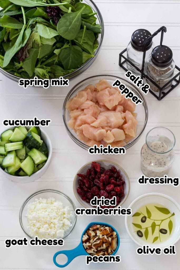 All of the ingredients needed to make the Green Salad with Chicken recipe.