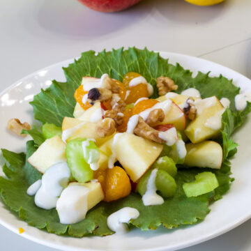 Side shot of one serving of Mandarin Orange & Apple Salad on a bed of romaine lettuce.
