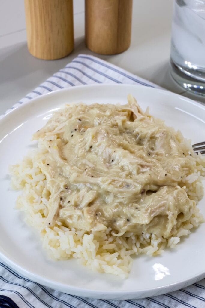 Chicken gravy made with shredded chicken over rice.