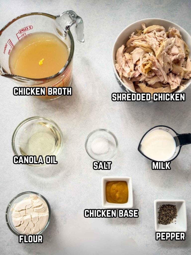 All of the ingredients needed to make the Chicken Gravy Recipe.