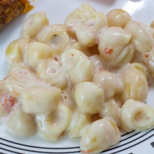 Very close up of one serving of Queso Blanco Mac and Cheese on a white and black plate.