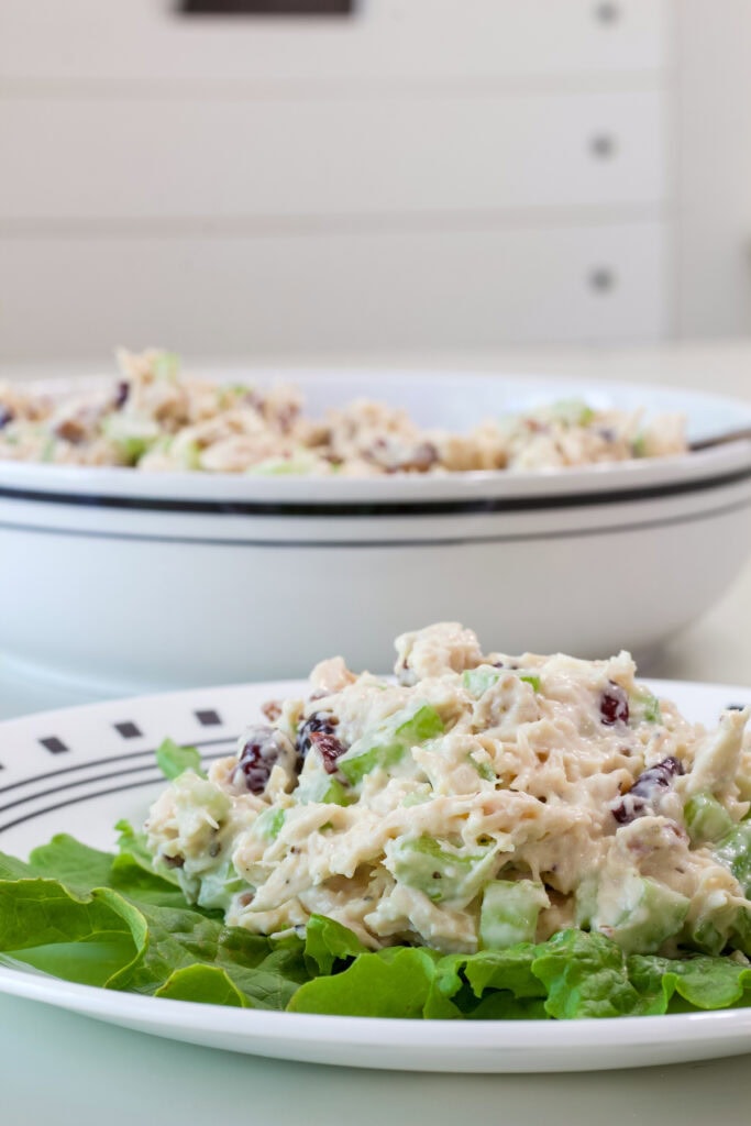 Cranberry and pecan chicken salad made with canned chicken on a bed of romaine lettuce.
