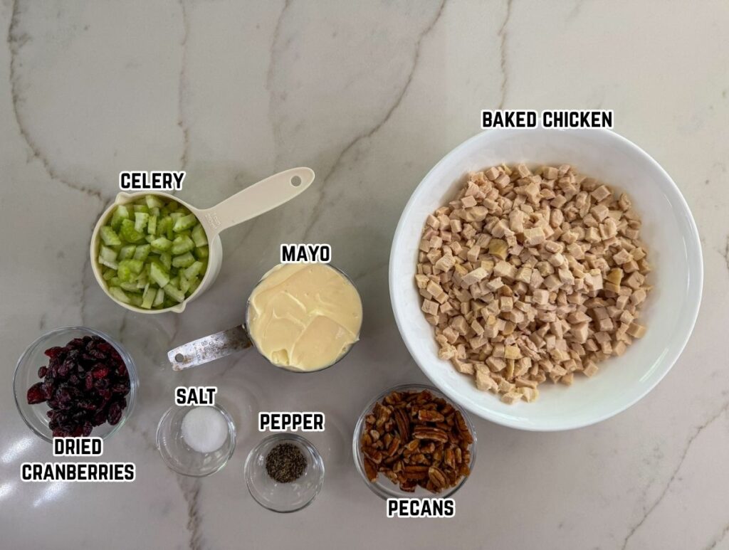 All of the ingredients measured out to make the cranberry and pecan chicken salad.