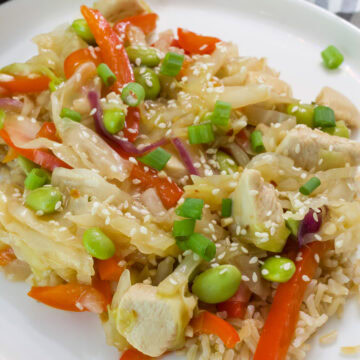 Closeup of one serving of Chicken and Cabbage Stir Fry on white plate.
